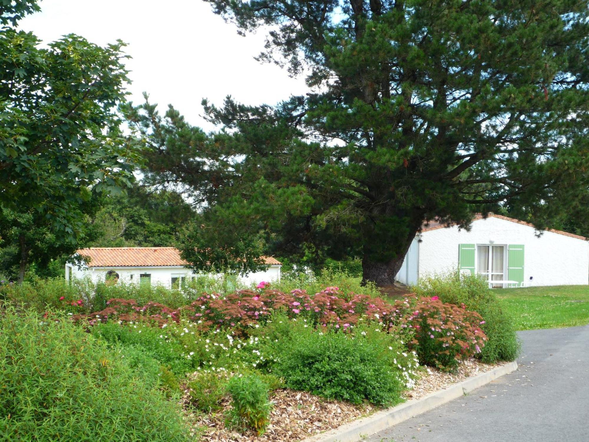 Village Vacances De Chantonnay Exterior photo